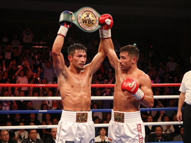 What Is a Title Match in Boxing? Understanding Championship Fights